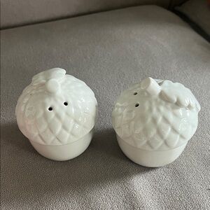 White Ceramic Acorn Salt and Pepper Shakers ( Target missing basket)